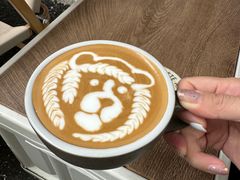 -SAFARI COFFEE