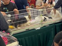 -万达广场(宝山店)