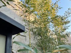 -北京益泉花园酒店