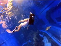 -成都浩海立方海洋公园