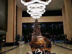 -上海嘉定喜来登酒店