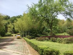 -陶祖圣境风景区