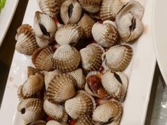 -华盛丰温州大排档(东三环南路店)