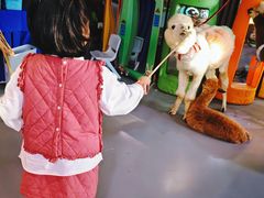 -顺德南宏海立方海洋公园