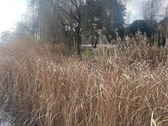-苏州太湖湖滨国家湿地公园