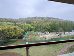 -上海佘山世茂艾美酒店