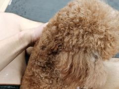 -FIGHTMAN格斗俱乐部(长宁临空店)
