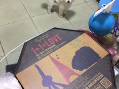 -Tubestation站点比萨(五道营店)