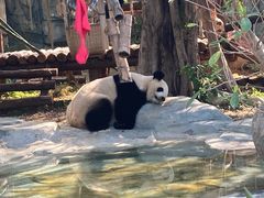 -泉州海丝野生动物世界