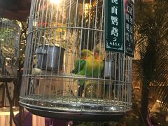 -九尊食上(生态园林酒店)