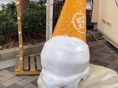 -野人先生现做冰淇淋(北京顺义祥云小镇店)