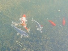 -雅达·阳羡溪山小镇中心