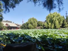-莲池书院博物馆