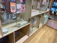 -屋虎猫馆(宝安大仟里店)