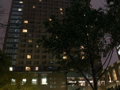 -上海漕河泾万丽酒店