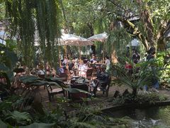 -Fern Forest Cafe