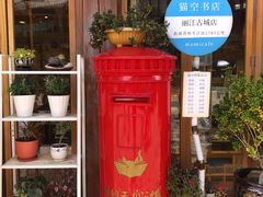 -猫的天空之城概念书店(丽江古城饮玉巷店)