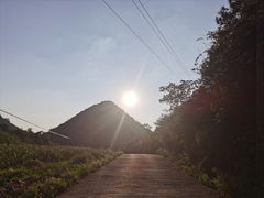 -武陵山森林公园