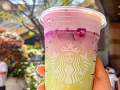 芒紫绵云抹茶拿铁-星巴克臻选(杭州万象城店)