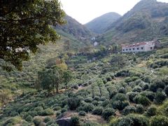 -东白山