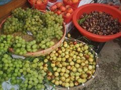 -长兴慧子土特产茶行