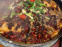 -老板恋上鱼(荣盛广场店)