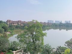 -美的鹭湖森林度假区