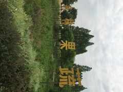 iphone_upload_pic-阿林有机农庄