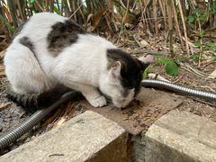 -吕氏焗小鲜•海鲜青岛菜(八大关店)