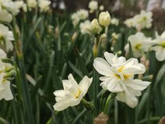 -陕西省西安植物园