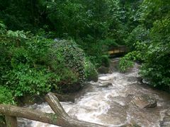 -莫里热带雨林景区