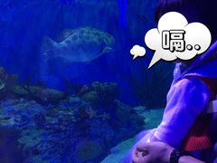 -海合安成都极地海洋公园