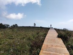 -白草畔自然风景区