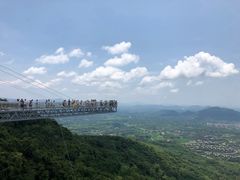 -呀诺达热带雨林