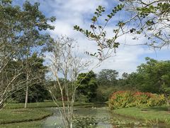 -中国科学院西双版纳热带植物园