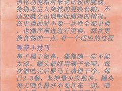 -翊宠yipet猫狗购宠庄园