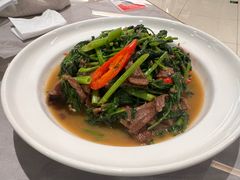 -台北楚楚园馅饼粥(虹桥南丰城店)