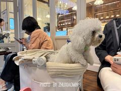 -瑞虹新天地月亮湾