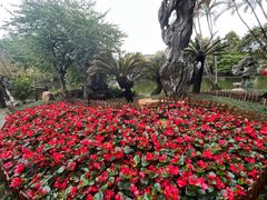 -东莞市可园博物馆