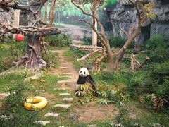 -石排湾郊野公园