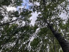 -百里山水画廊