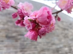 -北京明城墙遗址公园