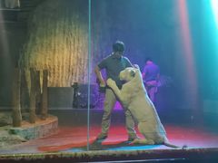 -清迈夜间动物园