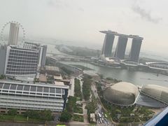 -新加坡瑞士史丹福酒店