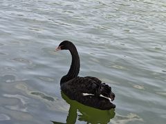 -西湖公园(鼓楼区)