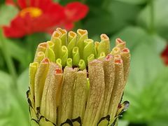 -长春公园(普阳街道)