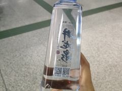 -飞翔公园(地铁站)