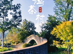 -龙坞茶村