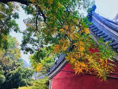 -潭柘寺景区