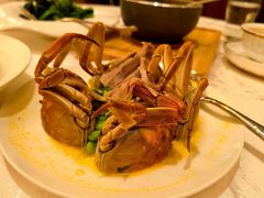 -虹迎轩·中餐厅(虹桥迎宾馆店)